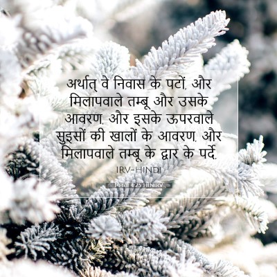 गिनती 4:25 बाइबल आयत की व्याख्या