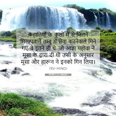 गिनती 4:37 बाइबल आयत की व्याख्या