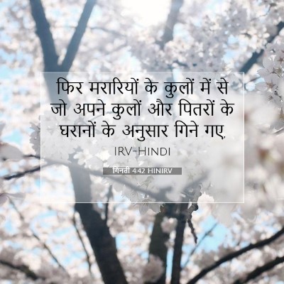 गिनती 4:42 बाइबल आयत की व्याख्या