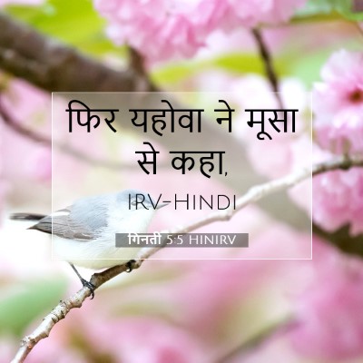 गिनती 5:5 बाइबल आयत की व्याख्या