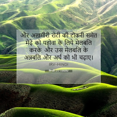 गिनती 6:17 बाइबल आयत की व्याख्या