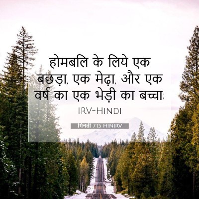 गिनती 7:15 बाइबल आयत की व्याख्या