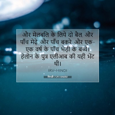 गिनती 7:29 बाइबल आयत की व्याख्या