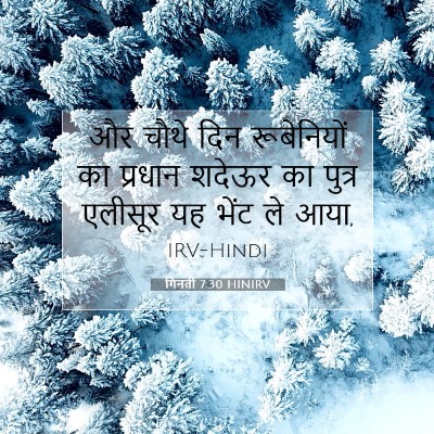 गिनती 7:30 HINIRV बाइबल आयत इमेज