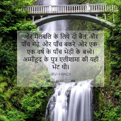 गिनती 7:53 बाइबल आयत की व्याख्या