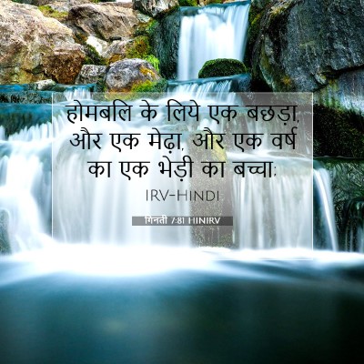 गिनती 7:81 बाइबल आयत की व्याख्या