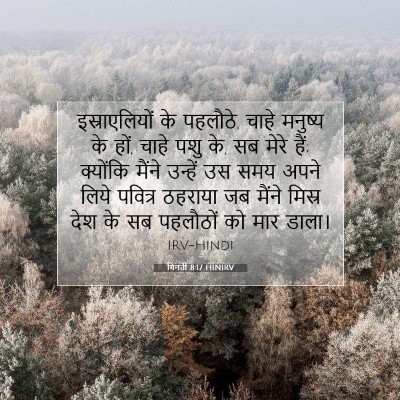 गिनती 8:17 बाइबल आयत की व्याख्या