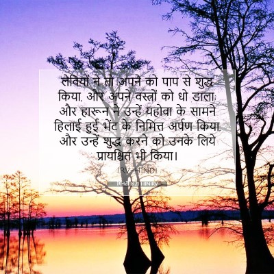 गिनती 8:21 बाइबल आयत की व्याख्या
