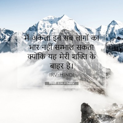गिनती 11:14 बाइबल आयत की व्याख्या