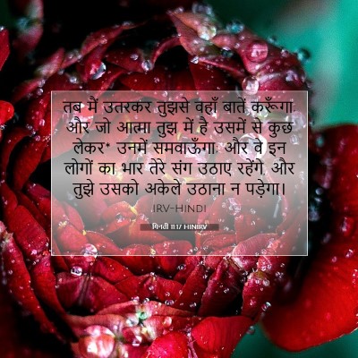 गिनती 11:17 HINIRV बाइबल आयत इमेज