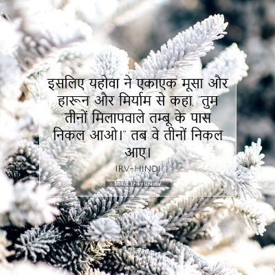 गिनती 12:4 बाइबल आयत की व्याख्या