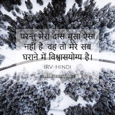 गिनती 12:7 HINIRV बाइबल आयत इमेज