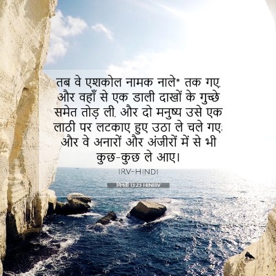 गिनती 13:23 HINIRV बाइबल आयत इमेज