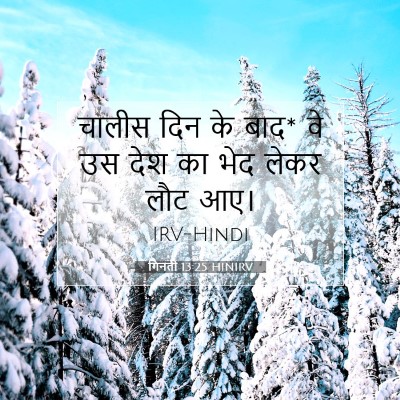 गिनती 13:25 बाइबल आयत की व्याख्या