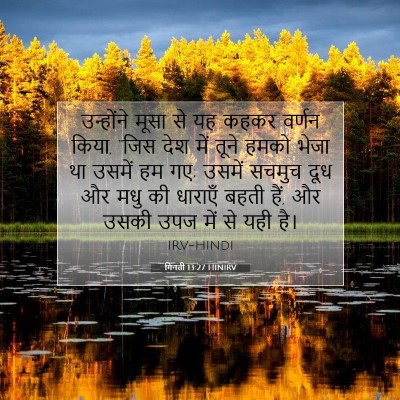 गिनती 13:27 बाइबल आयत की व्याख्या