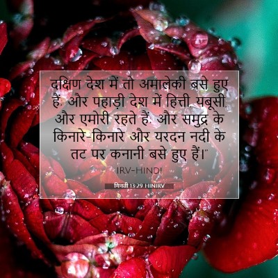 गिनती 13:29 बाइबल आयत की व्याख्या