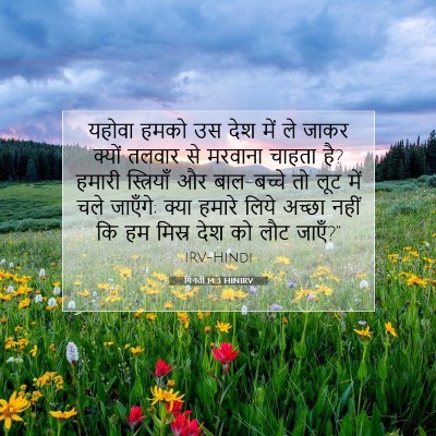 गिनती 14:3 बाइबल आयत की व्याख्या