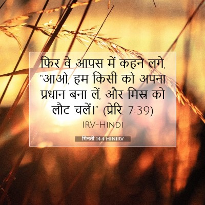 गिनती 14:4 बाइबल आयत की व्याख्या