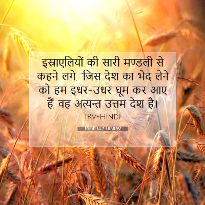 गिनती 14:7 बाइबल आयत की व्याख्या