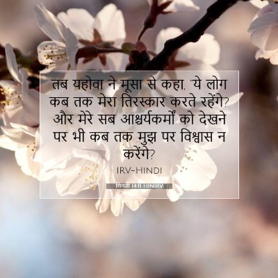 गिनती 14:11 बाइबल आयत की व्याख्या