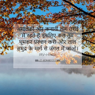 गिनती 14:25 बाइबल आयत की व्याख्या