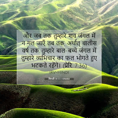 गिनती 14:33 बाइबल आयत की व्याख्या