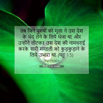 गिनती 14:36 बाइबल आयत की व्याख्या