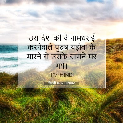गिनती 14:37 बाइबल आयत की व्याख्या