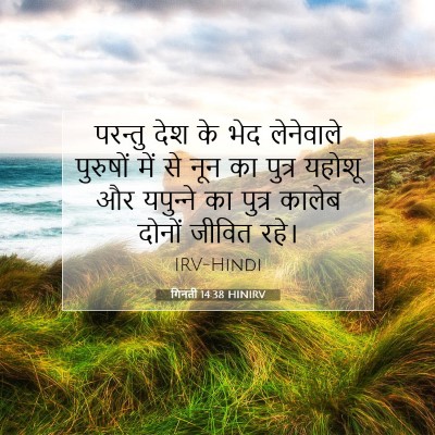 गिनती 14:38 बाइबल आयत की व्याख्या