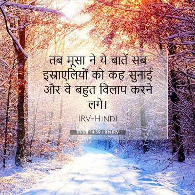 गिनती 14:39 बाइबल आयत की व्याख्या