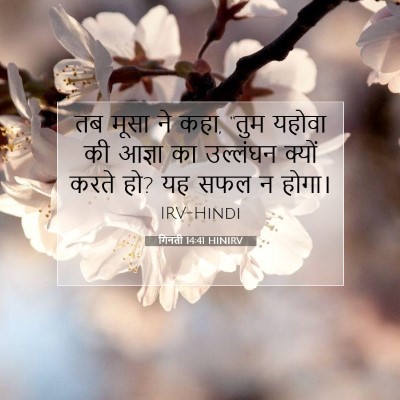 गिनती 14:41 बाइबल आयत की व्याख्या