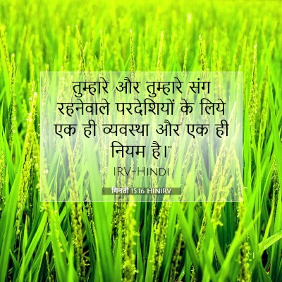 गिनती 15:16 बाइबल आयत की व्याख्या