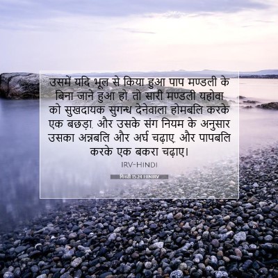 गिनती 15:24 बाइबल आयत की व्याख्या