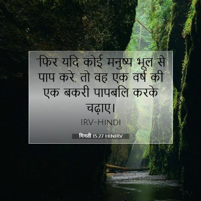 गिनती 15:27 बाइबल आयत की व्याख्या