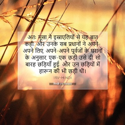 गिनती 17:6 बाइबल आयत की व्याख्या
