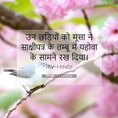 गिनती 17:7 HINIRV बाइबल आयत इमेज