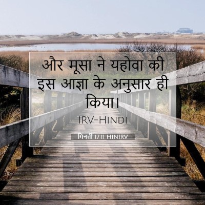 गिनती 17:11 बाइबल आयत की व्याख्या