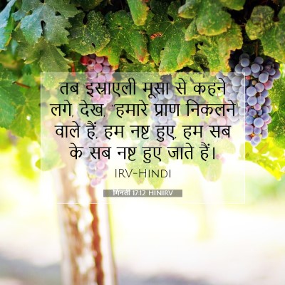 गिनती 17:12 बाइबल आयत की व्याख्या