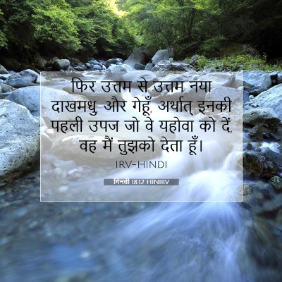 गिनती 18:12 बाइबल आयत की व्याख्या