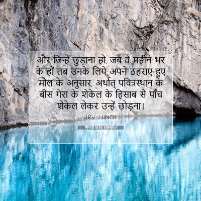 गिनती 18:16 बाइबल आयत की व्याख्या