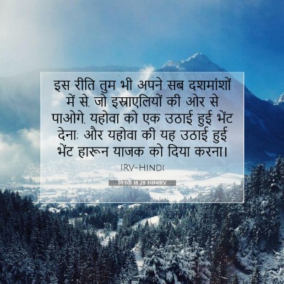 गिनती 18:28 बाइबल आयत की व्याख्या