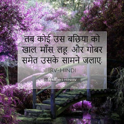 गिनती 19:5 बाइबल आयत की व्याख्या