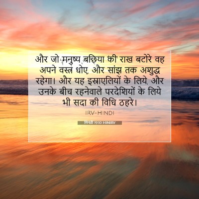 गिनती 19:10 बाइबल आयत की व्याख्या
