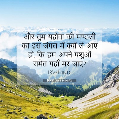 गिनती 20:4 बाइबल आयत की व्याख्या