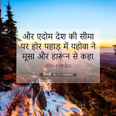 गिनती 20:23 बाइबल आयत की व्याख्या