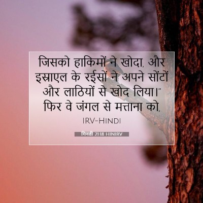 गिनती 21:18 बाइबल आयत की व्याख्या