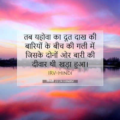 गिनती 22:24 बाइबल आयत की व्याख्या