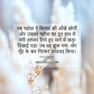 गिनती 22:31 बाइबल आयत की व्याख्या