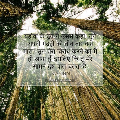 गिनती 22:32 बाइबल आयत की व्याख्या