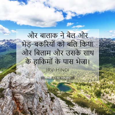गिनती 22:40 बाइबल आयत की व्याख्या